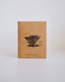 The Sultanate of Frankincense