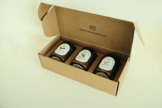 The Holiday Collection