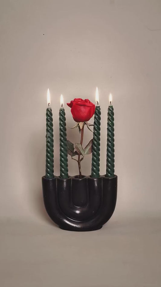 Roses of the Mughal Empire
